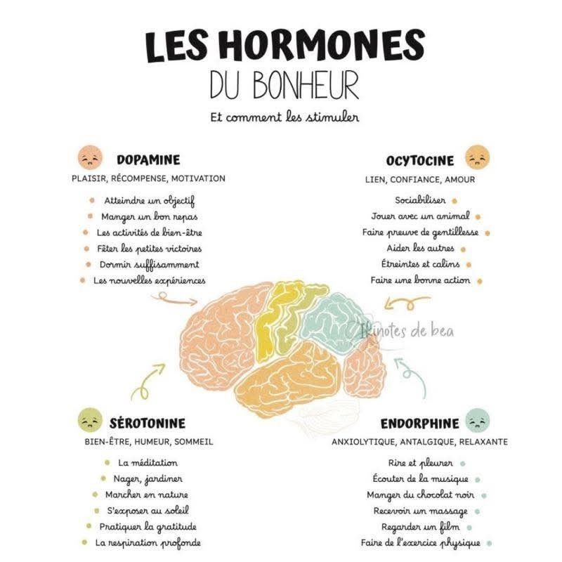Apprentissage à distance sophrologie