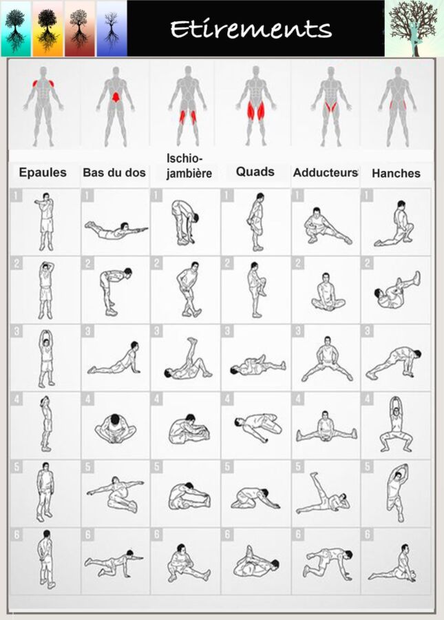 Entraînement gym douce gratuit