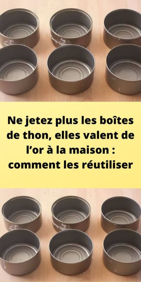 Reconversion créative pour adultes