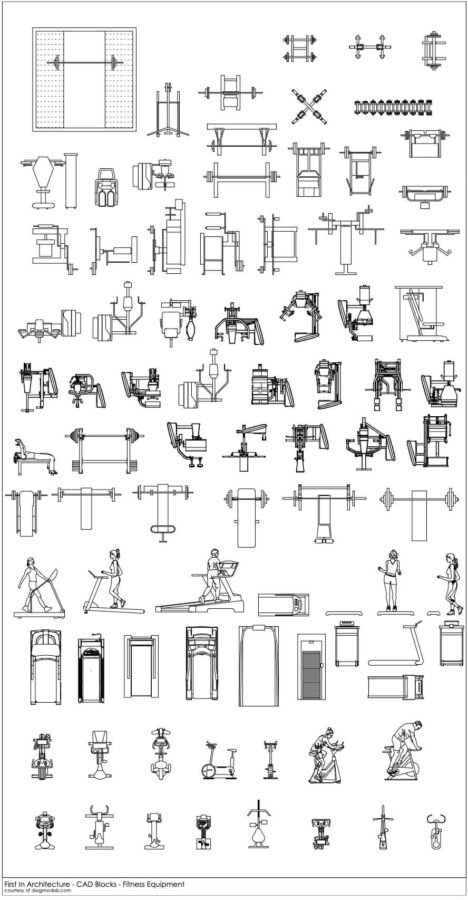Entraînement gym sans frais
