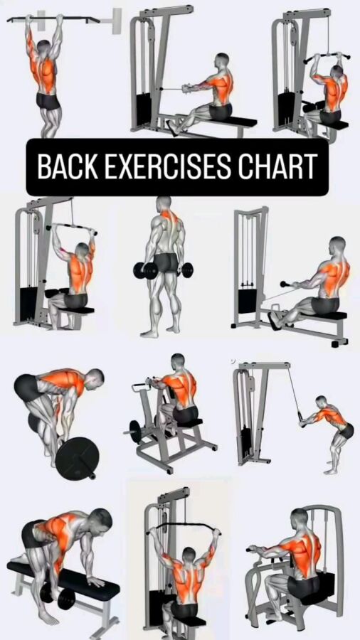 Séance de gym gratuite