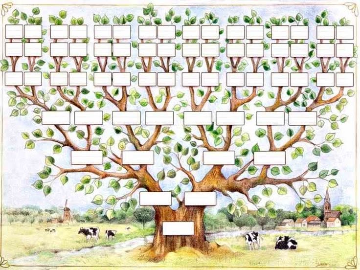modèle arbre généalogique Word