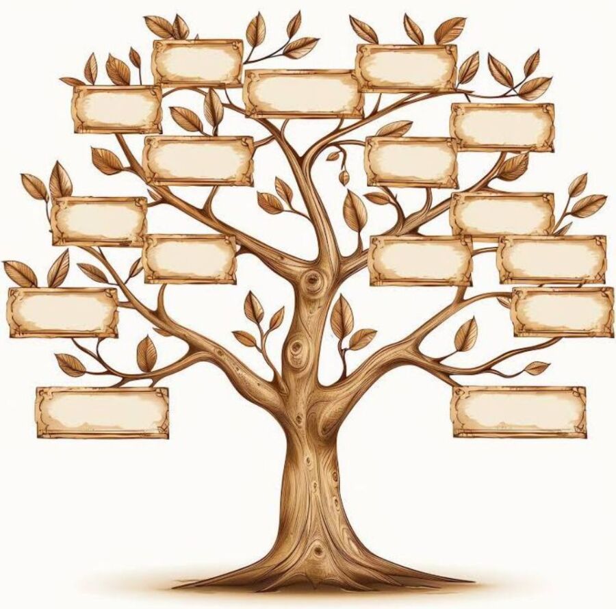 arbre familial vierge Word