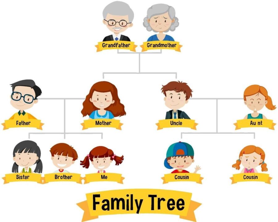 Créer arbre familial ordinateur