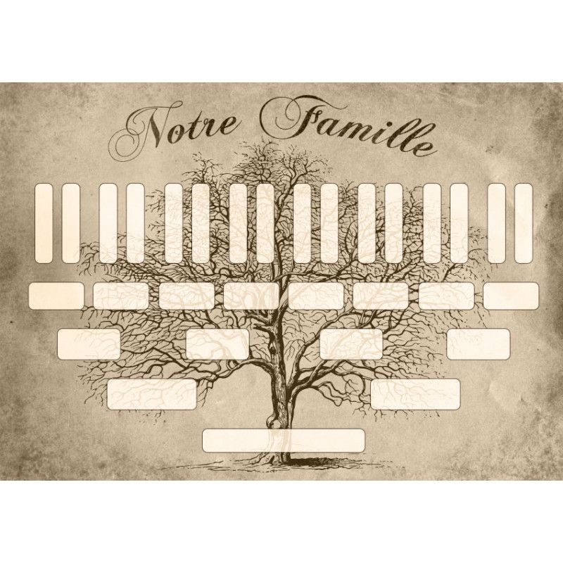 Arbre généalogique numérique
