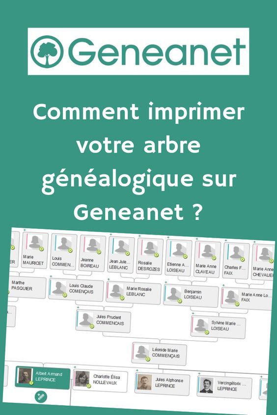 Remplir arbre sur PC