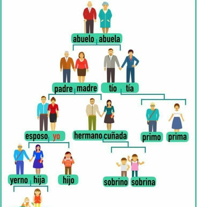Arbre généalogique en espagnol : l&rsquo;essentiel en pratique