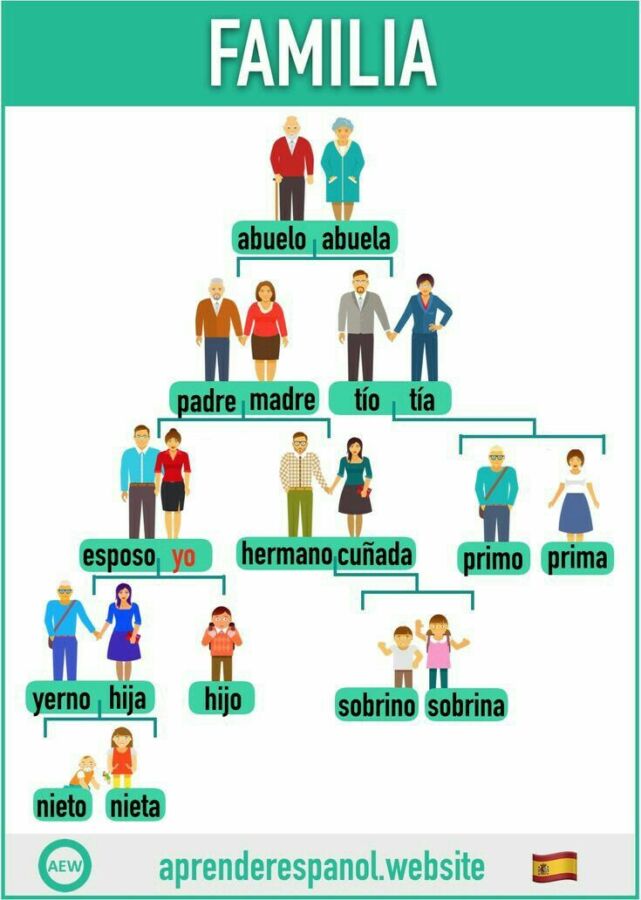 Schéma familial espagnol