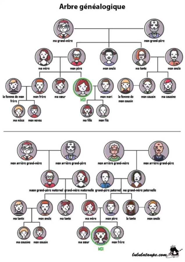 Diagramme d'ascendance espagnol