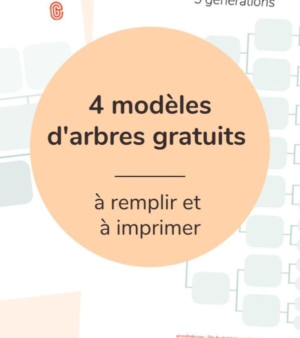 Arbre généalogique vierge à imprimer : l&rsquo;essentiel en pratique